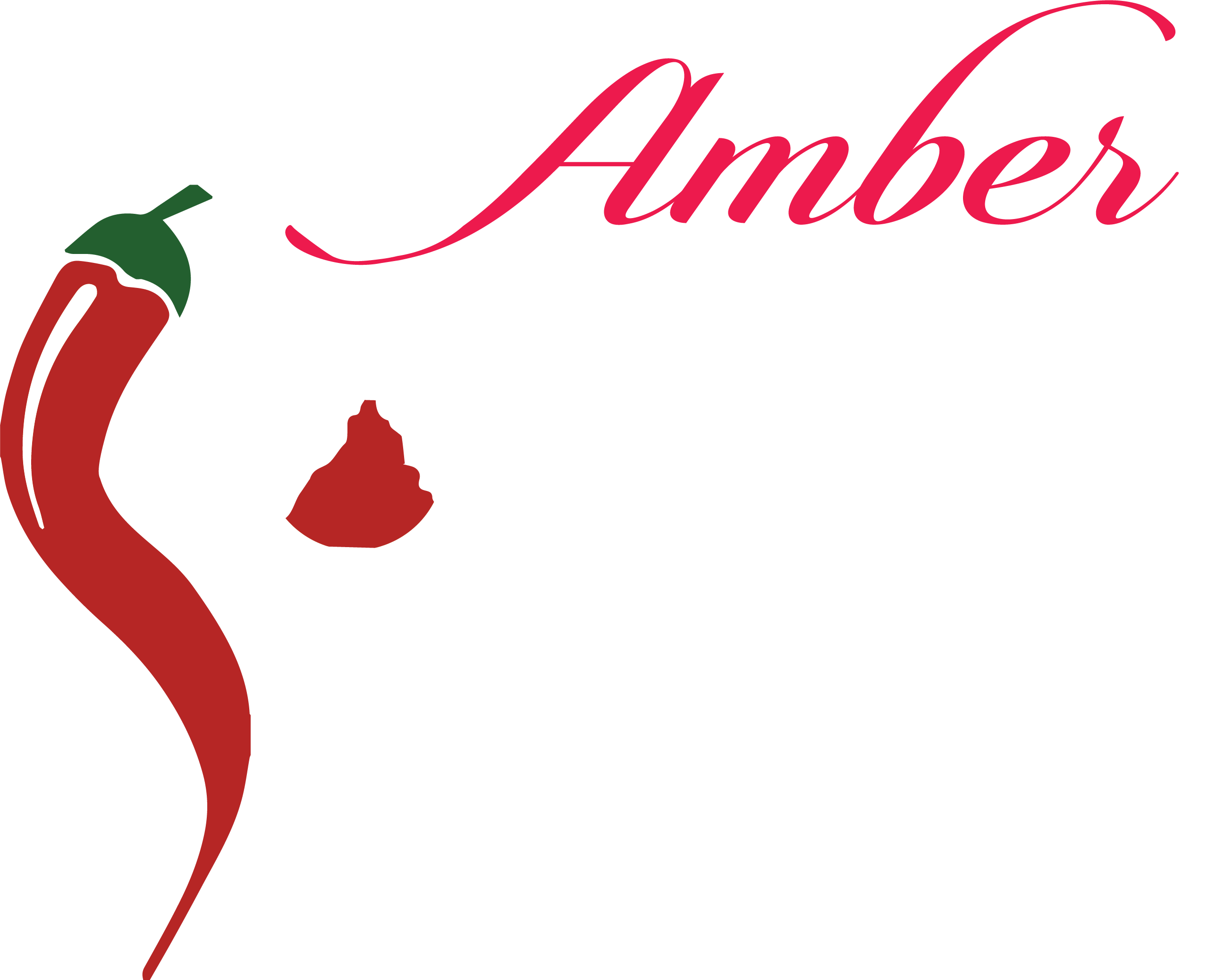 Amber spice indian cuisine